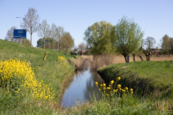 Baggerwerkzaamheden in Biddingpoelen