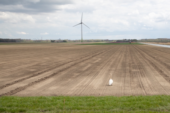 Derde editie De Staat van Flevoland op 25 april