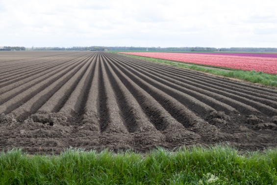 Staten stemmen in met visie op toekomst van landbouw