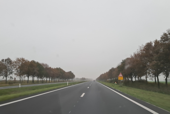 Werkzaamheden Gooiseweg (N305) vanaf 20 februari: verwijderen bomen