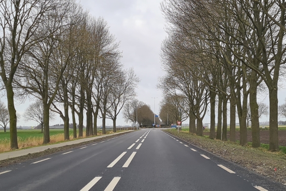 Het leven na een heftig verkeersongeluk: hoe kom je er weer bovenop?