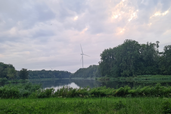 Dronten ziet geen reden voor maatregelen bij windparken