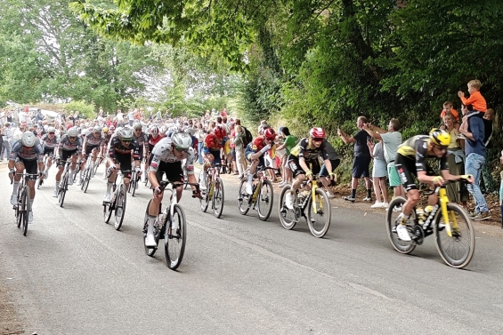 BHZNet.nl organiseert Vueltamanager 2025 BHZNet.nl organiseert Vueltamanager 2025