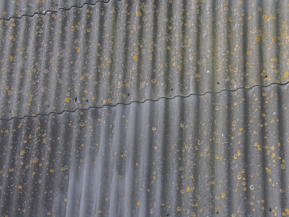 Illegale asbestsanering wijdverspreid in Flevoland