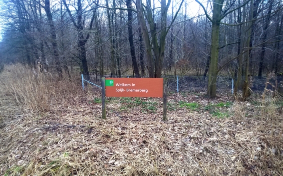 Wildraster langs Bremerbergweg in aanleg Wildraster langs Bremerbergweg in aanleg