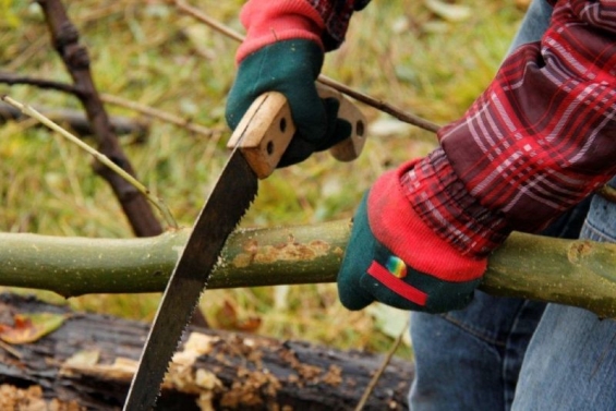Inwoners zetten zich in tijdens Natuurwerkdag Inwoners zetten zich in tijdens Natuurwerkdag