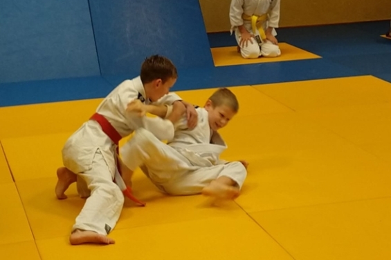 BAS Budo zoekt trainer voor jeugd en volwassenen