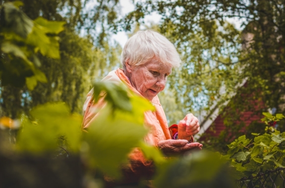 Alzheimer Café in Bibliotheek Biddinghuizen