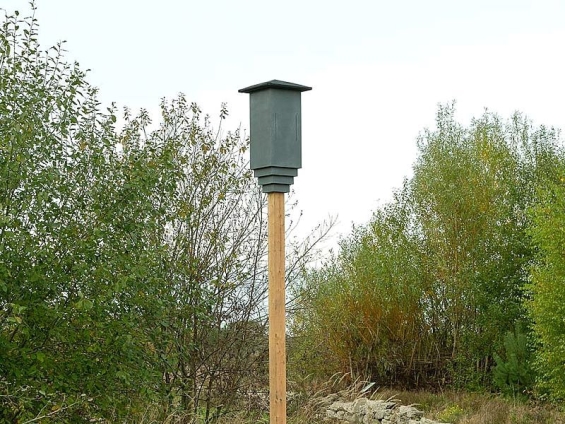 Vliegende opening van Vleermuis-Paal Biddinghuizen