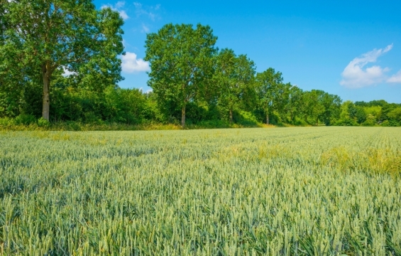 Provincie Flevoland vraagt 1 miljard uit Transitiefonds Landelijk Gebied