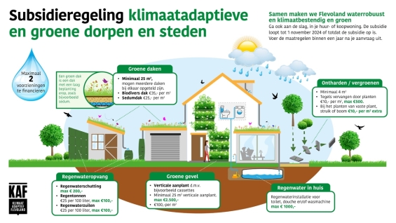 Nieuwe subsidieregeling voor het klimaatbestendig maken en  vergroenen van tuinen en daken