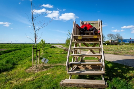 Geniet van uniek uitzicht op tulpenvelden bij De IJsbrouwers Geniet van uniek uitzicht op tulpenvelden bij De IJsbrouwers
