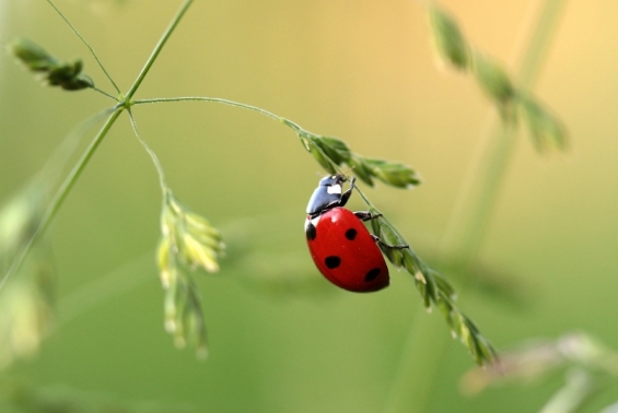 Tegels er uit voor je eigen natuurgebiedje. Gratis grond en planten zaterdag 25 mei Tegels er uit voor je eigen natuurgebiedje. Gratis grond en planten zaterdag 25 mei