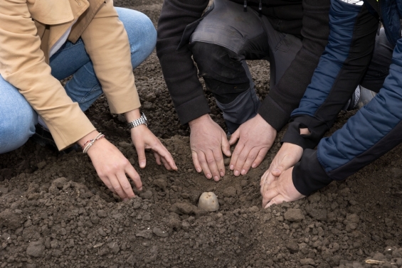 Friet uit gemeente Dronten op Defqon.1 Friet uit gemeente Dronten op Defqon.1
