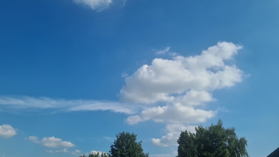 Nationaal Hitteplan van kracht in Flevoland