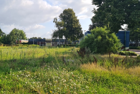 Tijdelijke pumptrackbaan moet in november gereed zijn