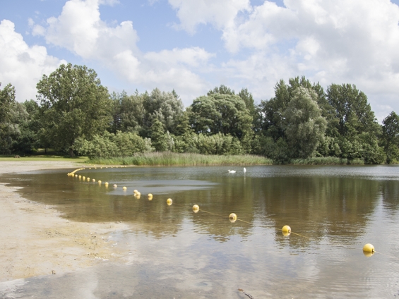 Spijkvijver in Biddinghuizen veilig om in te zwemmen Spijkvijver in Biddinghuizen veilig om in te zwemmen