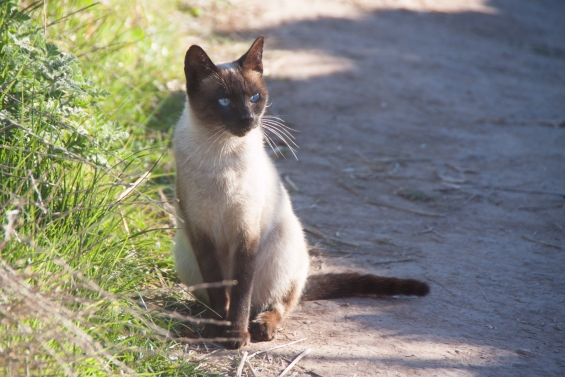 Maand van de gebitsverzorging Maand van de gebitsverzorging