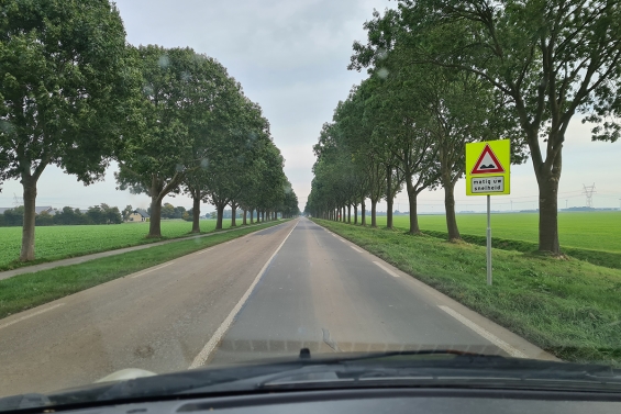 Onderhoud aan de Rietweg gepland voor 2025 Onderhoud aan de Rietweg gepland voor 2025