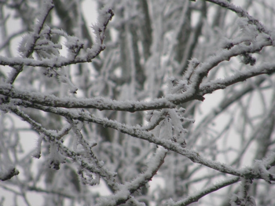 Momenteel alleen padelbanen open bij BAS Tennis & Padel Momenteel alleen padelbanen open bij BAS Tennis & Padel