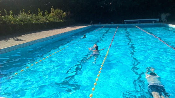 Voorverkoop van abonnementen Zwembad De Alk gestart Voorverkoop van abonnementen Zwembad De Alk gestart